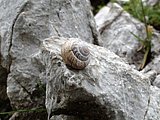 DSCN6666.JPG