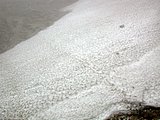 DSCN6687.JPG