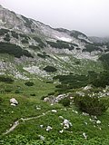 DSCN6705.JPG