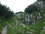 DSCN6708.JPG