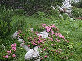 DSCN6710.JPG