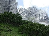 DSCN6740.JPG