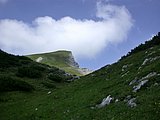 DSCN6747.JPG