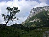 DSCN6754.JPG