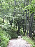 DSCN6766.JPG