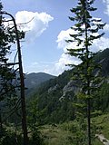 DSCN6772.JPG