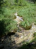 DSCN6773.JPG