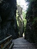 DSCN6779.JPG