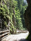 DSCN6782.JPG