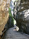 DSCN6783.JPG