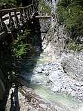 DSCN6785.JPG