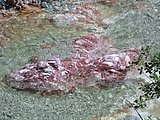 DSCN6787.JPG