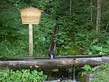 DSCN6790.JPG