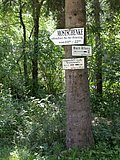 DSCN6795.JPG