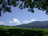DSCN6796.JPG