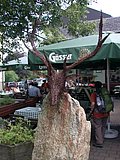 DSCN6800.JPG
