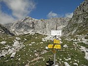 P8090159.JPG