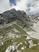 P8090169.JPG