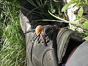 P8090175.JPG