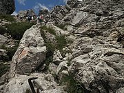 P8090195.JPG