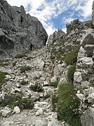 P8090196.JPG