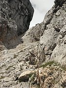 P8090200.JPG