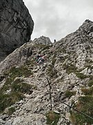 P8090208.JPG