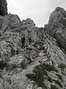 P8090211.JPG