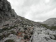 P8090215.JPG