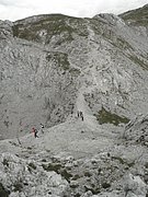 P8090221.JPG