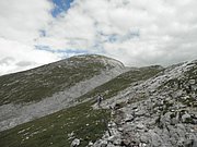 P8090229.JPG