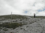 P8090231.JPG
