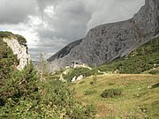 P8090296.JPG