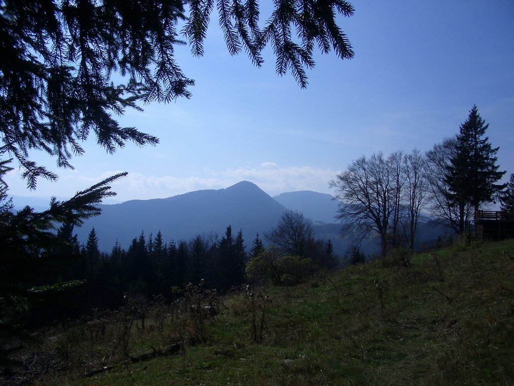 CIMG2919.JPG