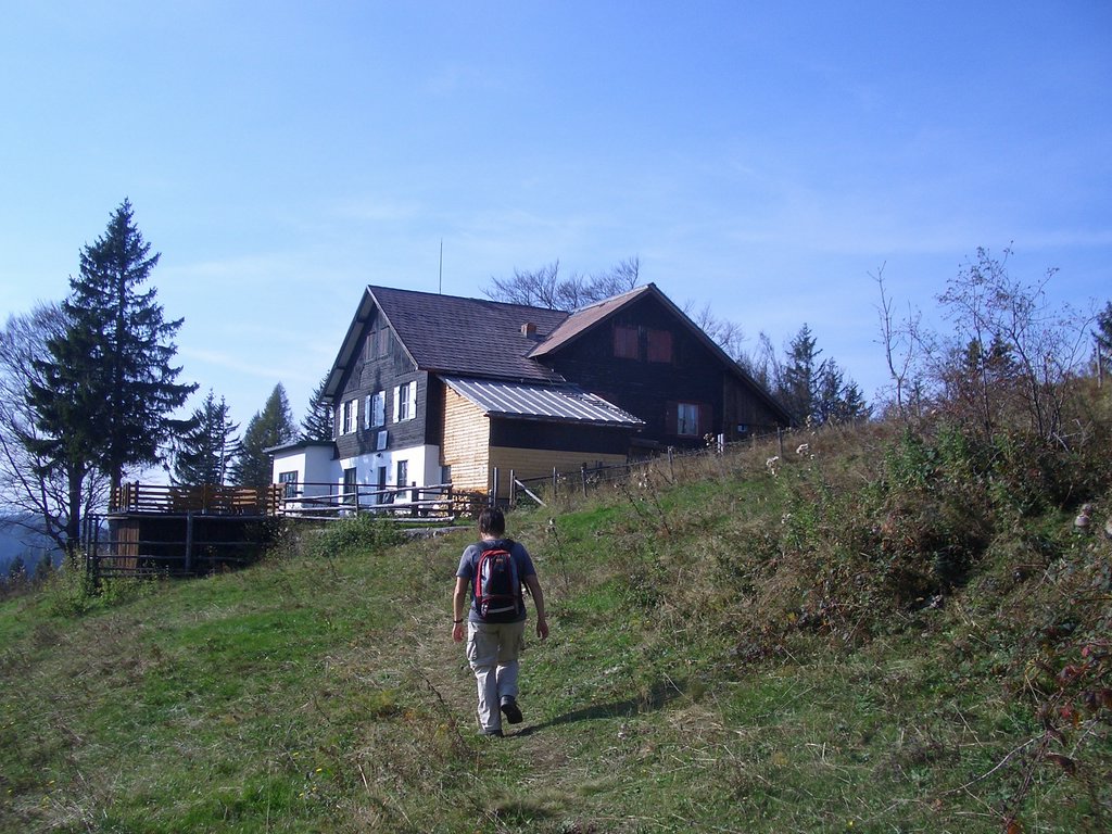 CIMG2920.JPG