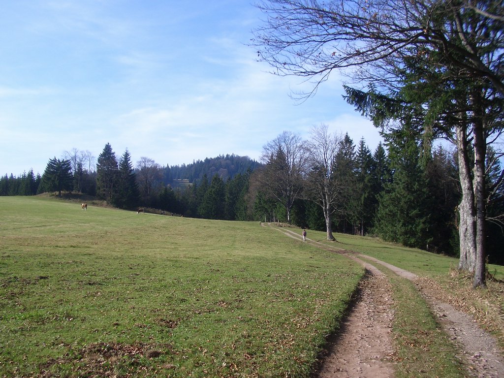 CIMG2924.JPG