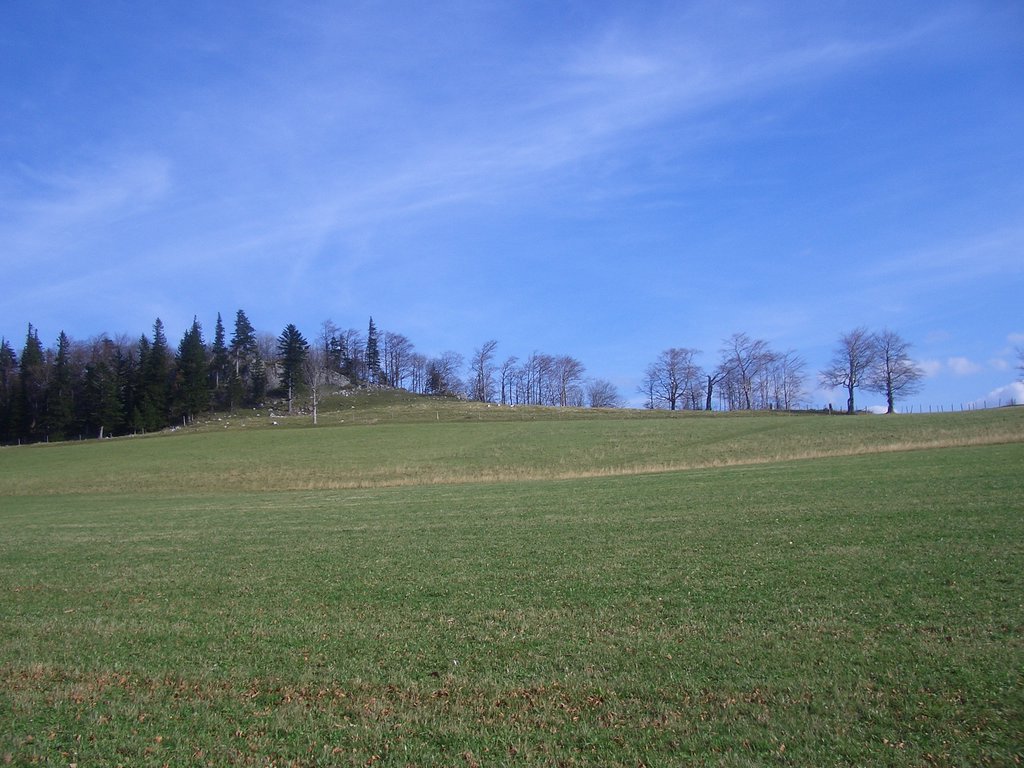 CIMG2927.JPG