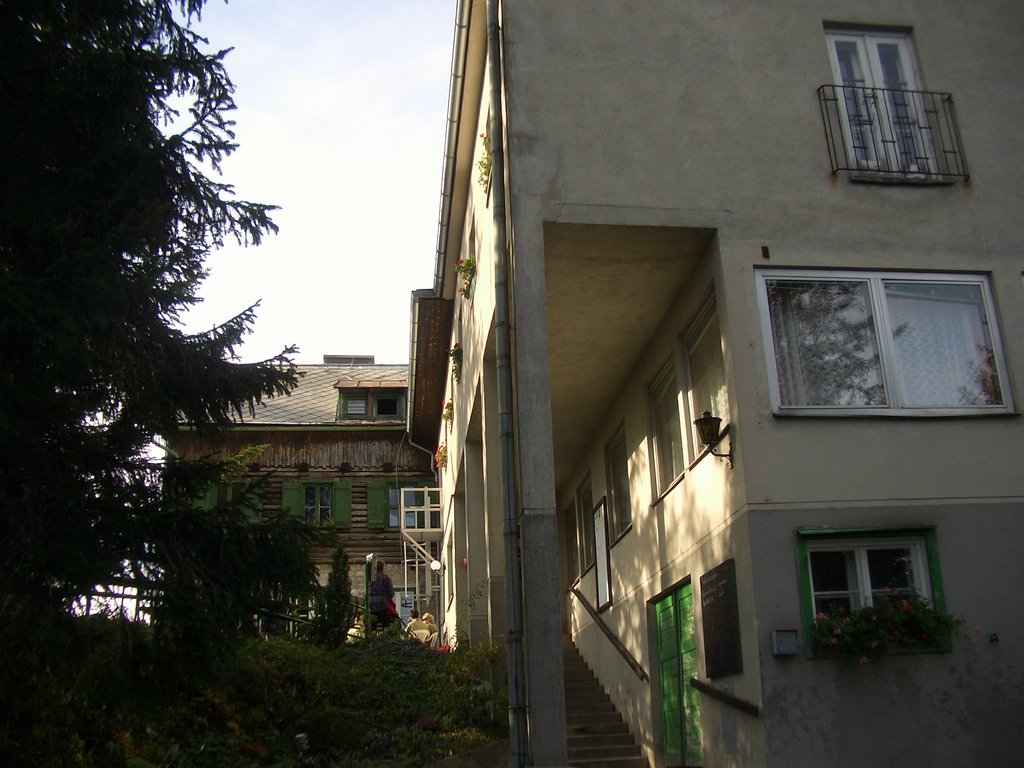 CIMG2931.JPG
