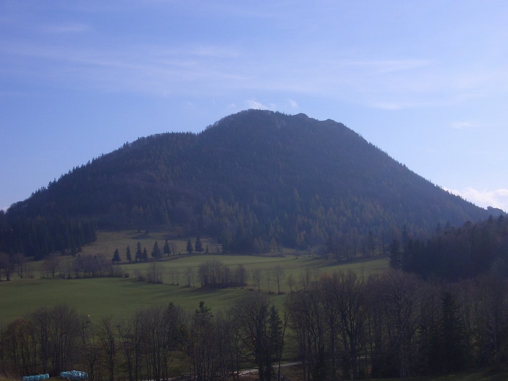 CIMG2932.JPG
