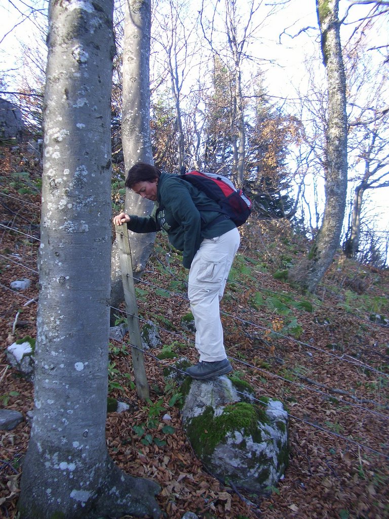 CIMG2938.JPG
