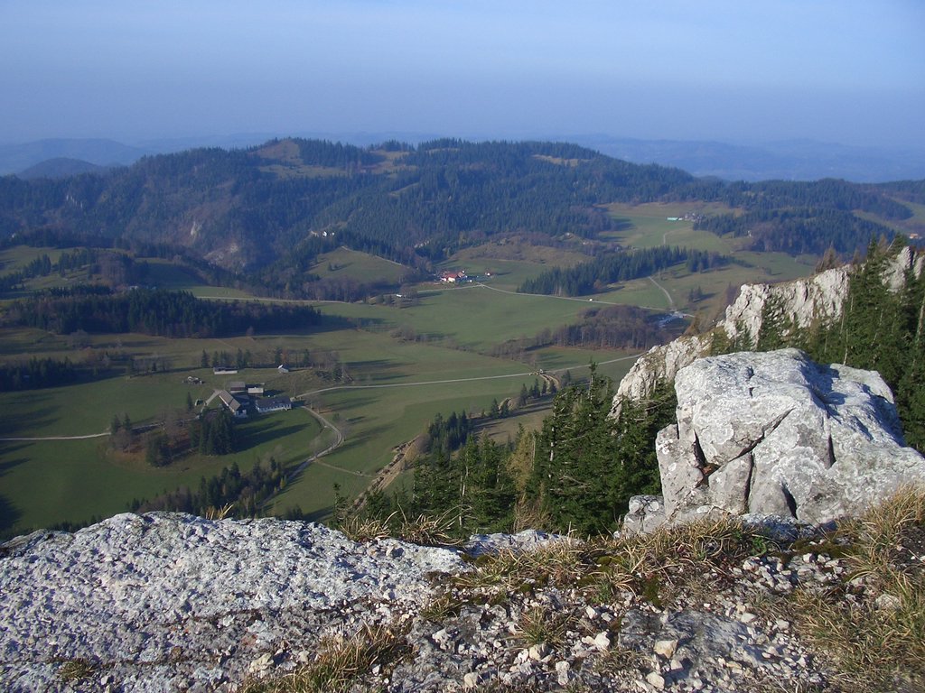 CIMG2943.JPG