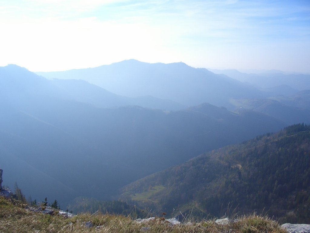 CIMG2945.JPG