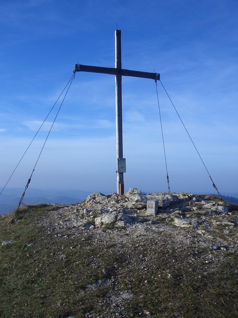 CIMG2947.JPG