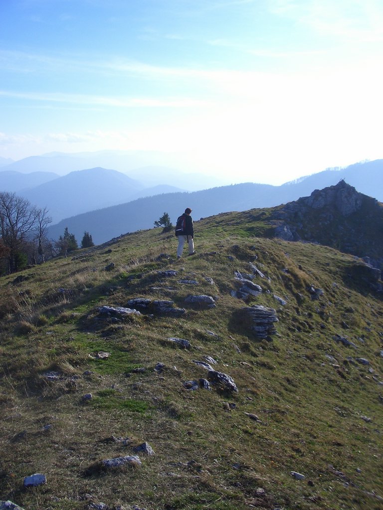 CIMG2948.JPG