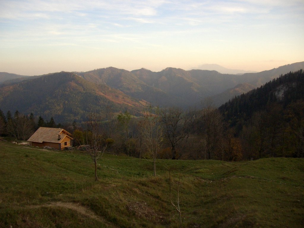 CIMG2957.JPG