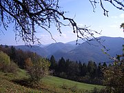 CIMG2907.JPG