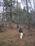 CIMG2936.JPG