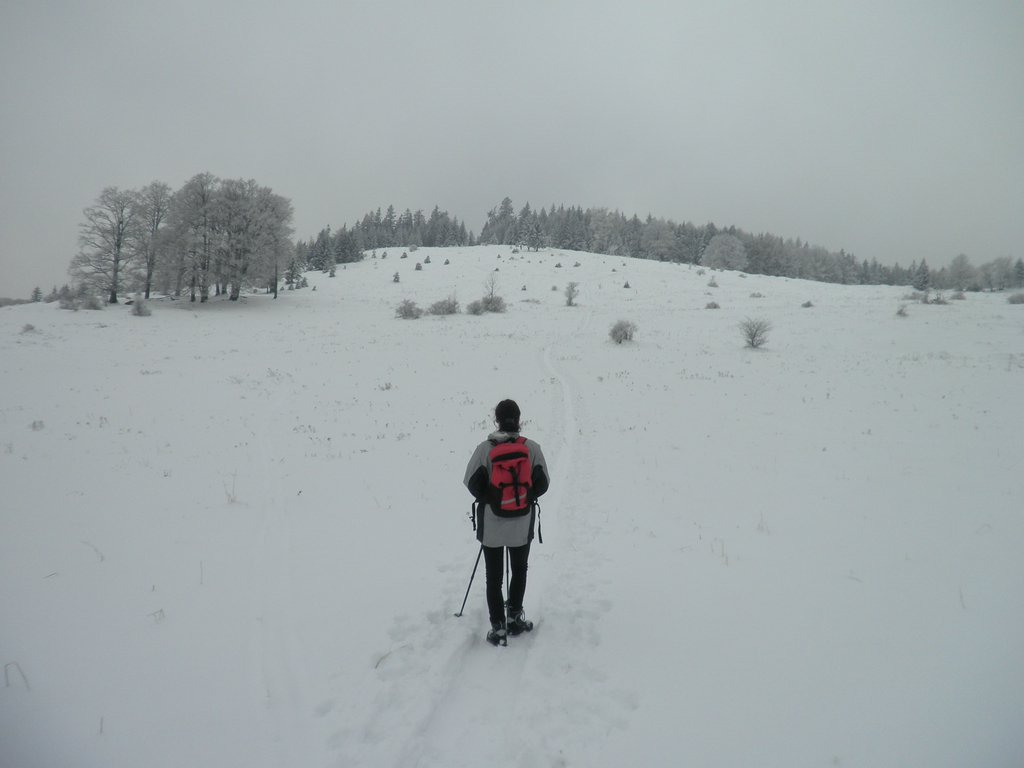P1100003.JPG