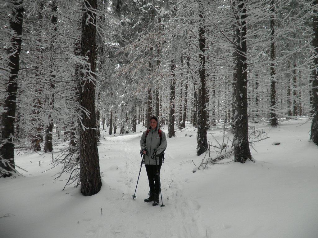P1100005.JPG