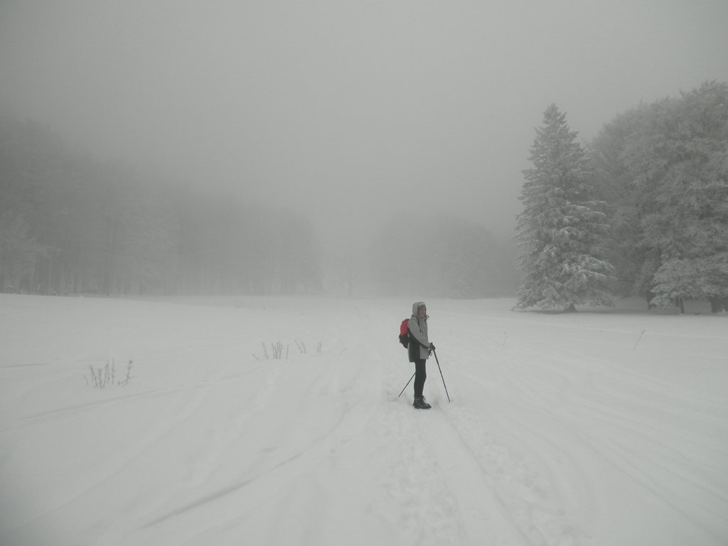 P1100006.JPG